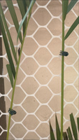 Clips de fixation pour plantes grimpantes en gros, supports de croissance pour plantes de jardin, clips de fixation pour vignes, supports pour orchidées