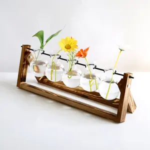 Propagation Plant Stations Terrarium with Wooden Stand Desktop Glass Planter Bulb Vase