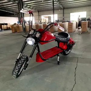 citycoco U1 sport style 2000W/3000W eec/coc citycoco electric scooter motor with wholesale price