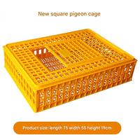 Cage de volaille de transport de ferme de poulet de capacité portante élevée cage de poulet caisse de poulet en plastique