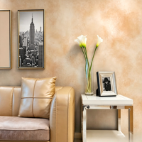 Peinture décorative extérieure transparente VALIDEA, éco-responsable, à base d'eau, finition mate, pour murs artistiques, application multi-couches au pinceau
