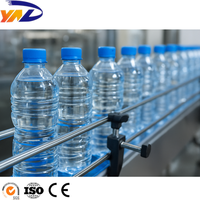 Ligne d'embouteillage d'eau potable rotative 12000BPH
