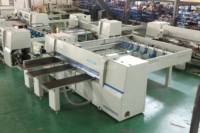 Scie à panneaux horizontale CNC, machine à scier le bois de haute technologie pour le travail du bois