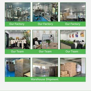 Thé vert minceur instantané en poudre Magic Coupe <span class=keywords><strong>Faim</strong></span> pour brûler les graisses chinoises, café minceur avec Garcinia Cambogia pour perdre du poids - Product Image 5