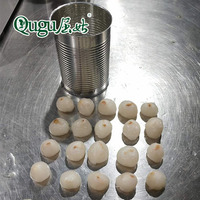 Blik Lychee Kan Voedsel Stuff Ontpit Lychee