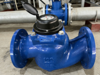 Medidor de Agua Vertical de Gran Capacidad de Hierro Fundido DN200 (Diseño en Seco) Personalizable y Apto para Aplicaciones de Ingeniería