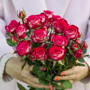 Rosas <span class=keywords><strong>de</strong></span> varias cabezas hechas a mano <span class=keywords><strong>de</strong></span> alta calidad para Navidad, boda, decoraciones <span class=keywords><strong>de</strong></span> Acción <span class=keywords><strong>de</strong></span> Gracias, suministro directo <span class=keywords><strong>de</strong></span> puestos, tienda <span class=keywords><strong>de</strong></span> flores, comunidad - Product Image 3