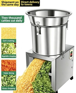Broyeur de légumes de type seau en acier inoxydable à bas prix, machine automatique de découpe de fruits, pommes de terre et manioc - Product Image 2
