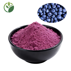 天然优质有机蓝莓粉 冻干蓝莓果粉 蓝莓果汁粉 - Product Image 3