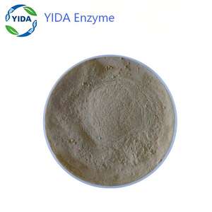 Enzima Detergente Alcalina Amilasa Granulada <span class=keywords><strong>de</strong></span> Beijing YIDA Biotech (Modelo Lisozima) - Product Image 2