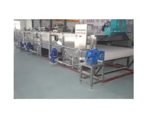 Tunnel Pasteurizer for Mushroom