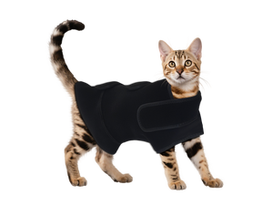 Facile <span class=keywords><strong>operazione</strong></span> cane & gatto terapia da PDT terapia panno leggero per animali domestici sollievo dal dolore - Product Image 6