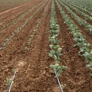 Ruban goutte à goutte réglable de 16mm pour tuyau goutte à goutte d'irrigation agricole