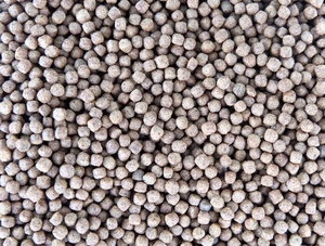 Máy sản xuất thức ăn cho cá nổi thức ăn gia súc dây chuyền chế biến thức ăn cho cá ướt máy làm thức ăn - Product Image 6