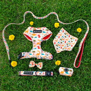 Chaleco Dog Harness Set K9 Personalized Dog Collar And Leash Set OEM Dog Harness Pets Accesory 2022