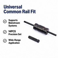 Kit d'outils professionnel 14 pièces pour extracteur d'injecteurs diesel Bosch Denso Siemens, extracteur de rail commun robuste, prêt à être expédié, 1 pièce MOQ