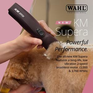 <span class=keywords><strong>Cortadora</strong></span> <span class=keywords><strong>de</strong></span> <span class=keywords><strong>pelo</strong></span> colorida <span class=keywords><strong>para</strong></span> mascotas, <span class=keywords><strong>cortadora</strong></span> eléctrica <span class=keywords><strong>de</strong></span> acero inoxidable <span class=keywords><strong>para</strong></span> mascotas grandes, tienda <span class=keywords><strong>de</strong></span> mascotas, Radio, afeitado <span class=keywords><strong>para</strong></span> perros, <span class=keywords><strong>cortadora</strong></span> <span class=keywords><strong>de</strong></span> aseo - Product Image 2