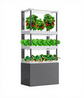 Système de plantation hydroponique aquaponique à usage domestique équipement d'irrigation vertical gratuit contrôlé pour noyau de ferme, pompe incluse