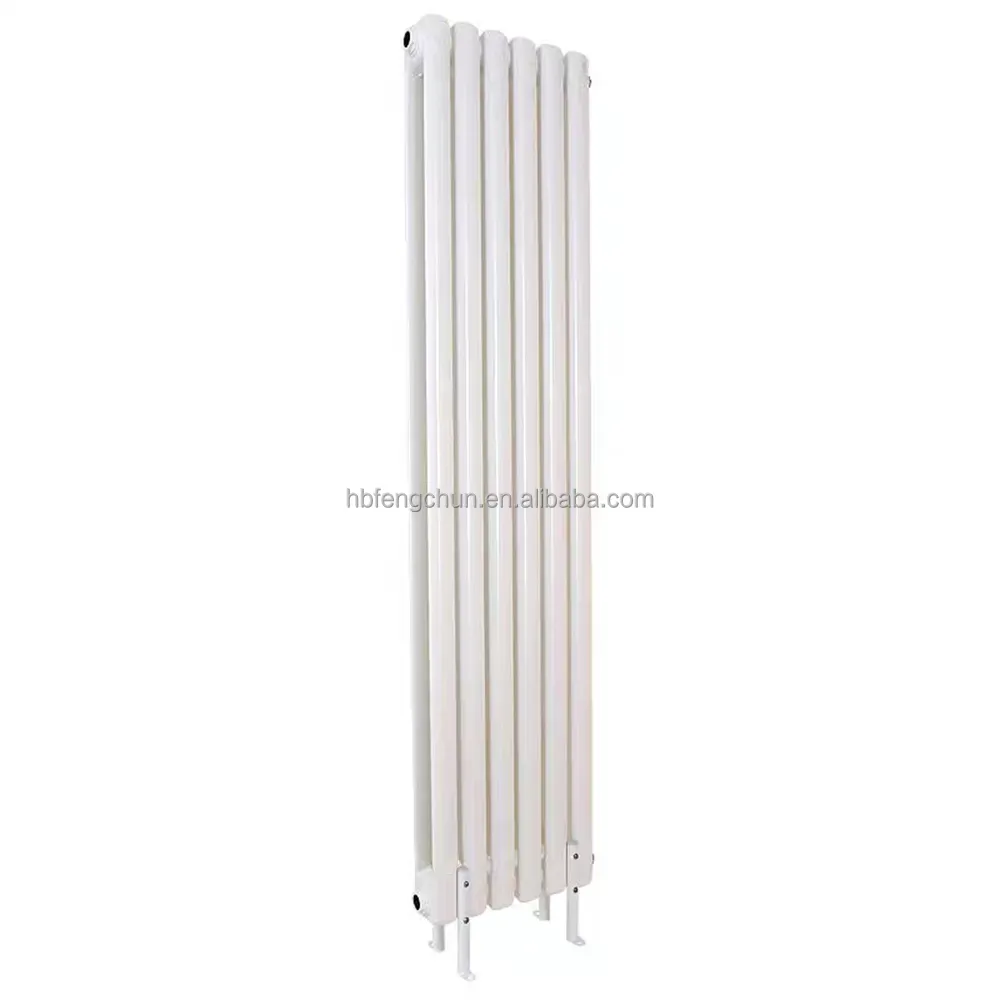 Wall Mounted Hot Water Radiator Double Oval Design Radiator For Heating