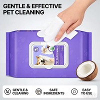Sacs d'emballage personnalisés refermables, étanches à l'humidité et aux odeurs, avec fermeture à clapet, fenêtre en PE laminé, pour lingettes humides pour bébés et animaux de compagnie