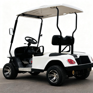 Ce Chứng Nhận 300cc Mini <span class=keywords><strong>2</strong></span> Ghế Gas Powered Golf Xe Với 4 Động Cơ Đột Quỵ Xăng Loại Nhiên Liệu - Product Image 2