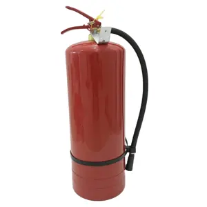 Cylindre portatif d'extincteur de poudre de fabricant professionnel à vendre dans la taille différente