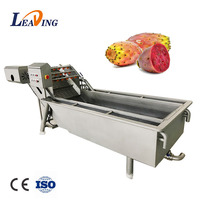 Durian & Kiwi Groentewasmachine 500Kg Capaciteit Motor Aangedreven Voor Fruitverwerkende Fabriek