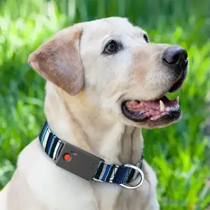 Nouvelle capacité GPS 4G 2G support de suivi pour animaux de compagnie localisateur d'application avec boîtier en caoutchouc étanche pour chat et chien collier gps pour chien