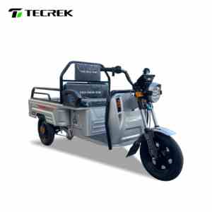 Tricycle électrique motorisé TECREK à trois roues, 801-1000W, autonomie de 50-70 km, Chine - Product Image 5