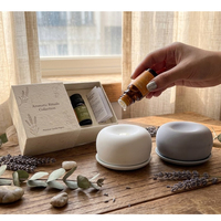 Diffuseur d'arômes écologique non toxique en pierre, aux senteurs d'orange, jasmin, citron, lavande et rose, pour la maison, la voiture et le bureau