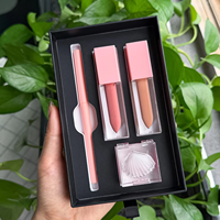 Ensemble de maquillage pour les lèvres vegan 4 en 1, label privé, gloss à lèvres, crayon à lèvres, rouge à lèvres, masque pour les lèvres, kit de cosmétiques longue durée, logo personnalisé