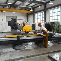 Máquina Manual para Cortar Bordes de Piedra HSQB-600 con Cuchilla de 600 mm para Granito, Mármol, Biselado de Losas y Corte de Lápices Funerarios