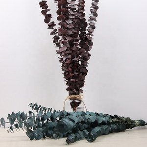 Décoration murale, feuilles d'<span class=keywords><strong>eucalyptus</strong></span> séchées blanches, couronne de fleurs, <span class=keywords><strong>guirlande</strong></span> de fleurs séchées préservées - Product Image 3
