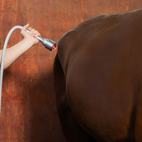 Appareil de thérapie laser vétérinaire portable 810nm 980nm 10w/20w/30w pour chiens, chats, chevaux, traitement de la douleur