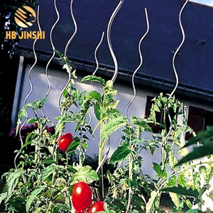Piquet <span class=keywords><strong>de</strong></span> jardin en spirale, tomate tordue, fil en spirale - Product Image 1