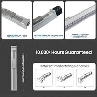 Module linéaire de haute précision, course de 660 mm, actuateur linéaire ±0,03 mm pour la découpe laser de semi-conducteurs, l'équipement d'automatisation médicale