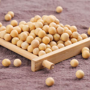 有機非遺伝子組み換え高タンパク質乾燥黄大豆 2025年新物 5kg 大容量 - Product Image 3