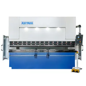 RAYMAX NC 판금 더블 서보 모터 유압 프레스 브레이크 2 축 100Ton 4000mm 판매