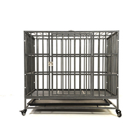 Op maat gemaakte design solide ijzeren kunstmatige husky hondenren, metalen tijdelijke ren, grote katten buitenren met dubbele deuren voor honden
