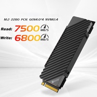 Nvme M.2 Ssd 1Tb Ssd Drive 2TB NVMe SSD Gaming Internal Solid State Drive dengan Heatsink