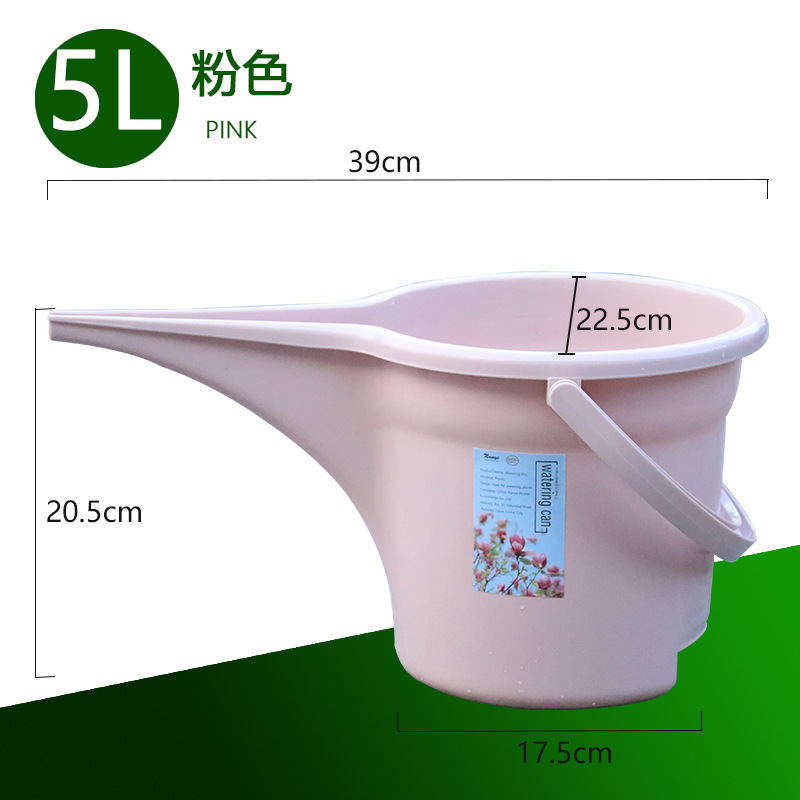 5L rose