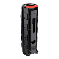 CSN-1031 Enceinte Karaoké Portable Prix Usine avec Haut-parleur 3*10'' et Lumières LED RGB Grandes Basses pour Extérieur