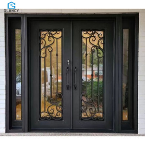 Portes <span class=keywords><strong>d</strong></span>'<span class=keywords><strong>entrée</strong></span> modernes en <span class=keywords><strong>fer</strong></span> <span class=keywords><strong>forgé</strong></span> à double vitrage pour appartement - Product Image 3