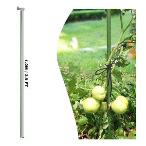 Tiges de tuyaux en acier revêtues de plastique durables, piquets de jardin en métal, supports de plantes grimpantes - Product Image 6