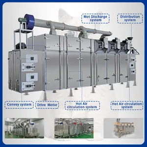 Industrial Scale 1Ton/H Pet Dry Dog Cat Food Production Processing Line