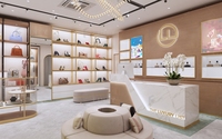 Mobilier de magasin de chaussures et sacs, aménagement de boutique pour femmes, design intérieur de magasin de sacs à main