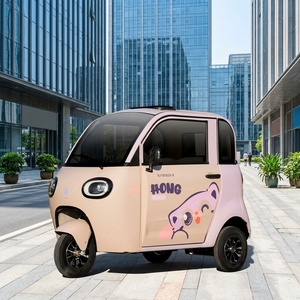 Tricycle <span class=keywords><strong>électrique</strong></span> fermé à deux portes pour usage domestique, destiné aux personnes âgées et aux femmes comme <span class=keywords><strong>moyen</strong></span> <span class=keywords><strong>de</strong></span> <span class=keywords><strong>transport</strong></span> - Product Image 4
