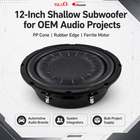 Subwoofer para Auto de 12 Pulgadas, 250W RMS, 500W, Doble Bobina de 2 Ohmios, Cono de PP, Borde de Goma, Hierro, para Automoción, OEM, ODM