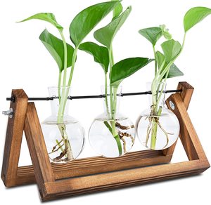 Aria pianta terrario idroponica piante desktop vetro fioriera bulbo vaso di vetro <span class=keywords><strong>con</strong></span> supporto in <span class=keywords><strong>legno</strong></span> stazione di propagazione - Product Image 1