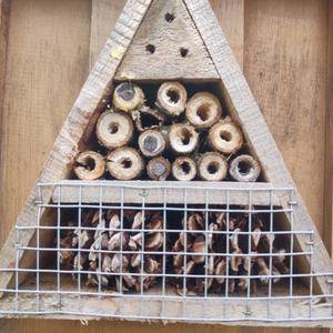 Ruches durables fabriquées avec des baies <span class=keywords><strong>de</strong></span> sureau naturelles, les abeilles améliorent la productivité du jardin et attirent des pollinisateurs paisibles. - Product Image 6